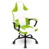 Video Game Chair for Adults, Gaming Chair Office Chair with Handrail, Adjustable Height Gamer Chair for Kids, Comfortable Computer Chair with Wheels